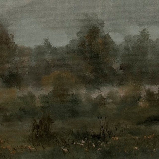 The dim and misty landscape