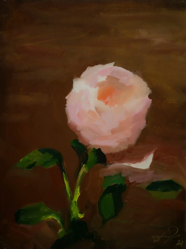 Pink rose