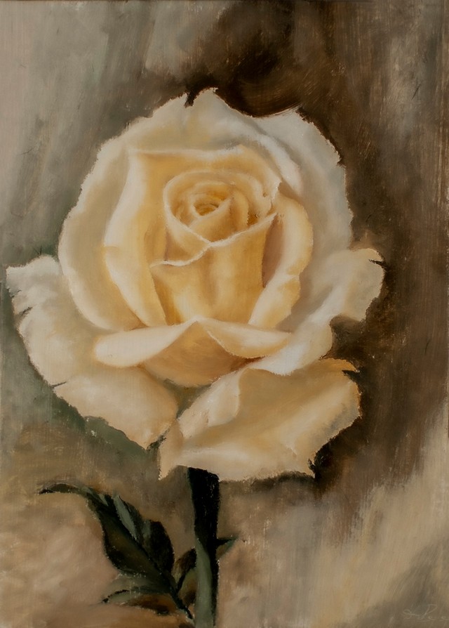 White rose