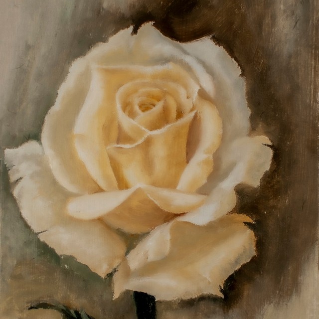 White rose