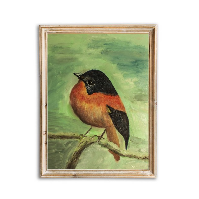 Black-and-orange flycatcher