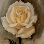 White rose