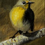 Yellow bird ACEO